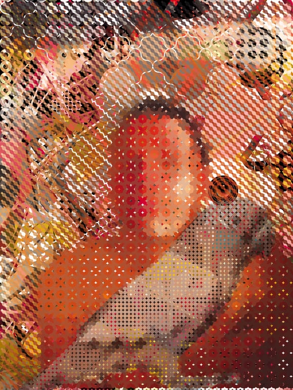 imagetrame014Robinson