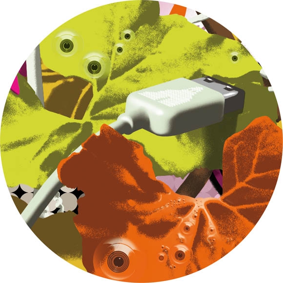 WallpaperDetail04copie